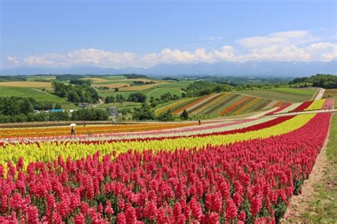 10 Small Towns in Japan You Must Visit .